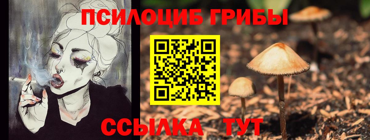 Галлюциногенные грибы мухоморы Асино